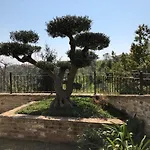 L'ulivo Nel Borgo * Ripatransone