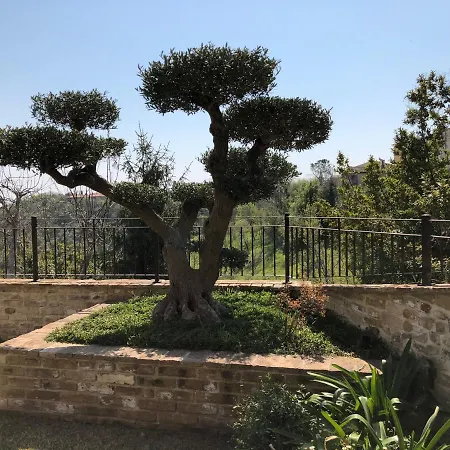 L'ulivo Nel Borgo * Ripatransone