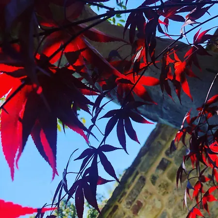 L'ulivo Nel Borgo Appartement