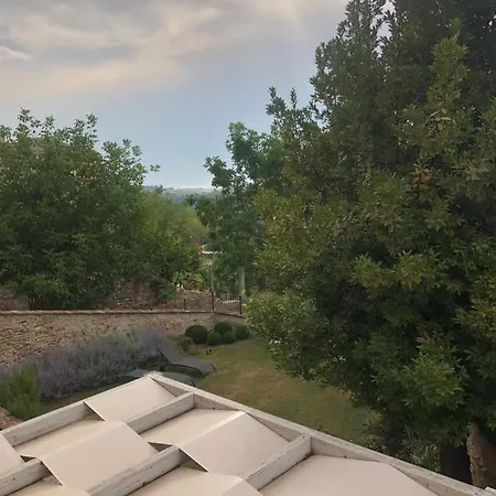 L'ulivo Nel Borgo * Ripatransone