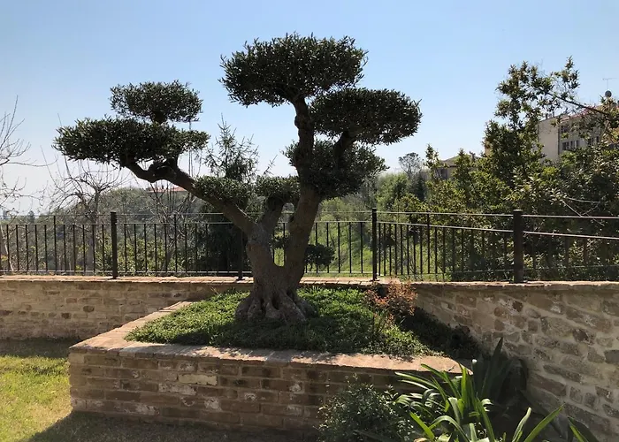 L'ulivo Nel Borgo * Ripatransone